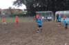 img_2075600x391_small.jpg