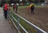img_2087600x418_small.jpg