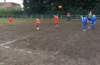 img_2126600x392_small.jpg